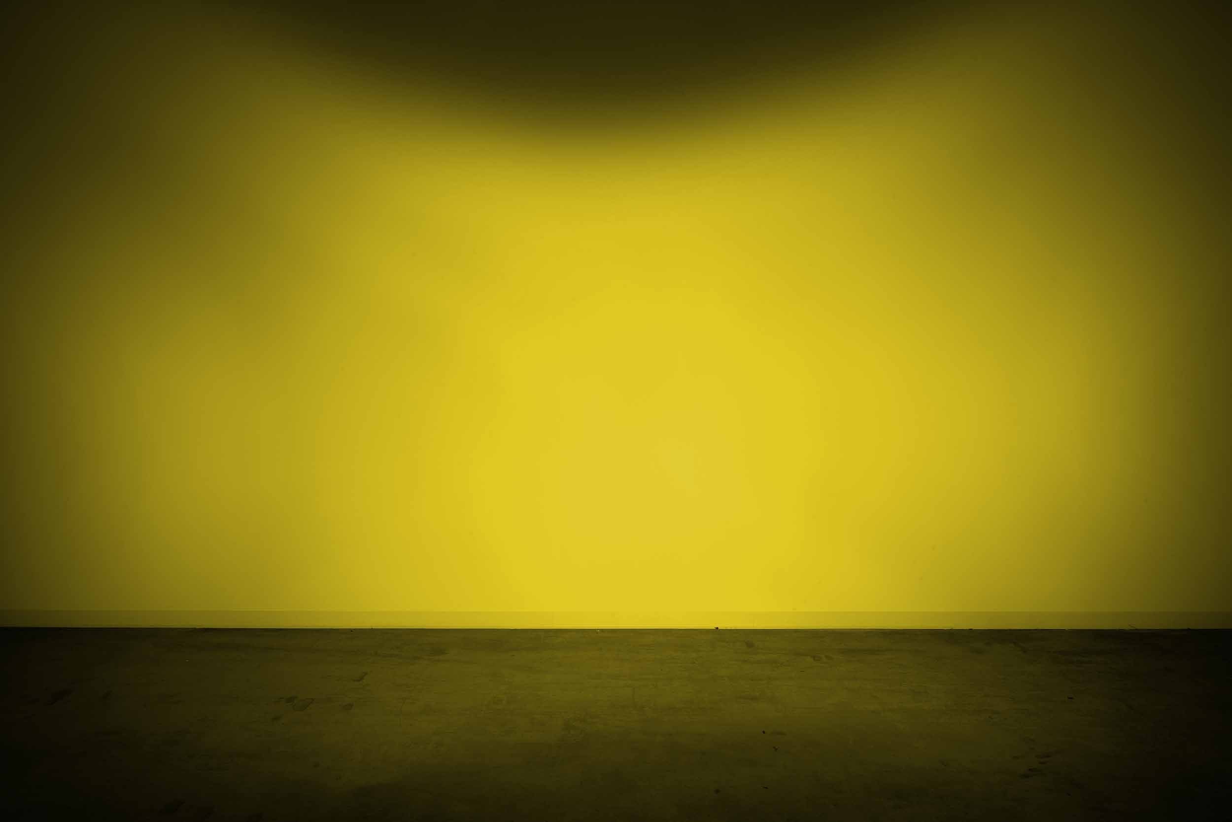 Morimoto Lens Only: 4Banger (Yellow / Flood / Each)