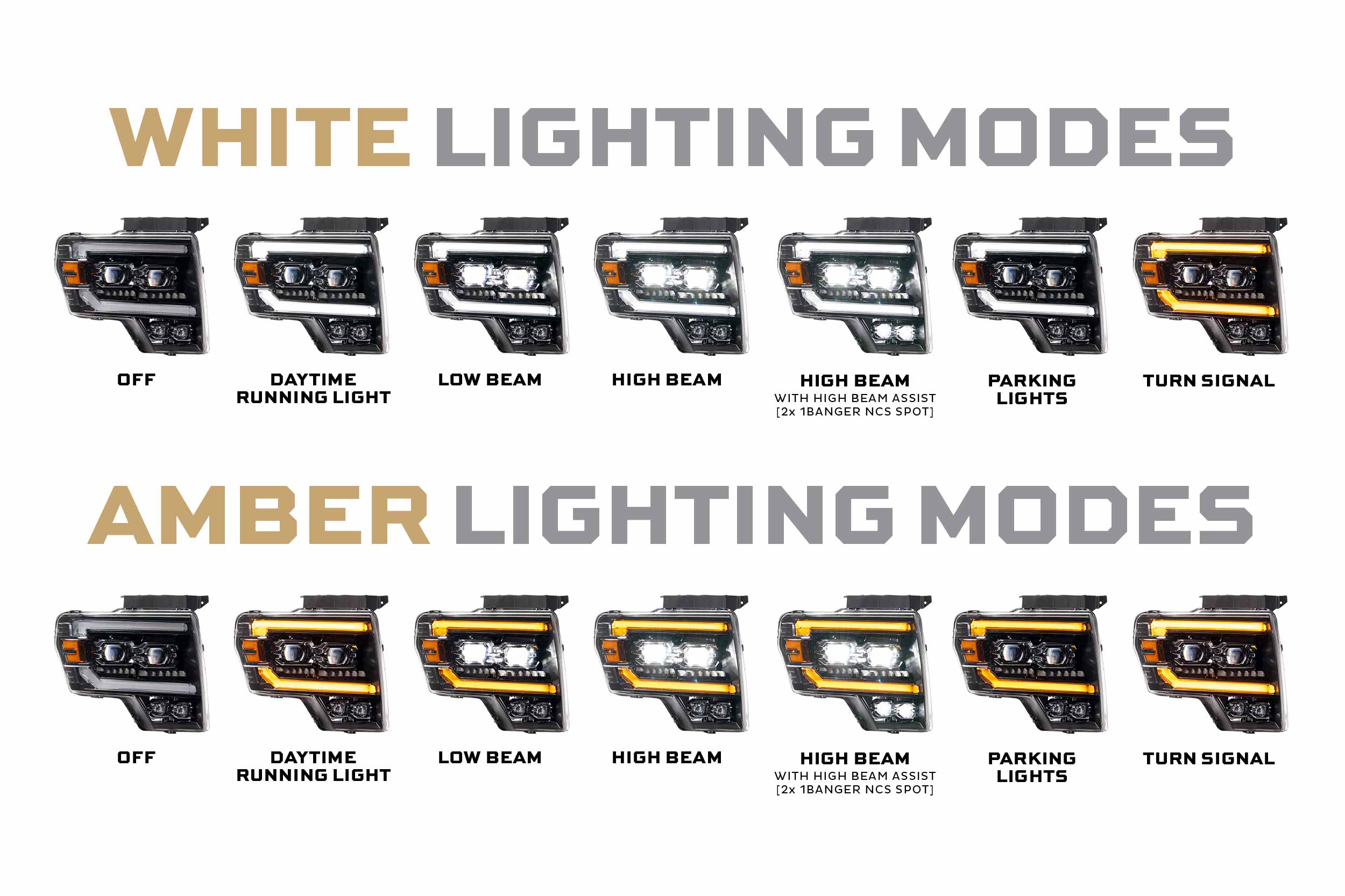Morimoto XB Evo Headlights: Ford F-150 (09-14 / Set)