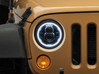 Photo - Close Up