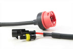 Morimoto AMP to D2S Ballast Adapters (Straight)