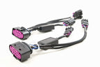Morimoto Conversion Harness: 13-18 Ram OEM Projector Headlights (Set)