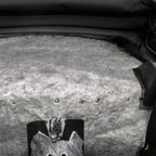 Photo - Mounted