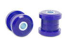 Photo - Close Up