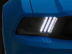 Photo - Close Up