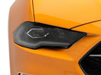Photo - Close Up