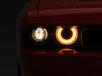 Photo - Close Up
