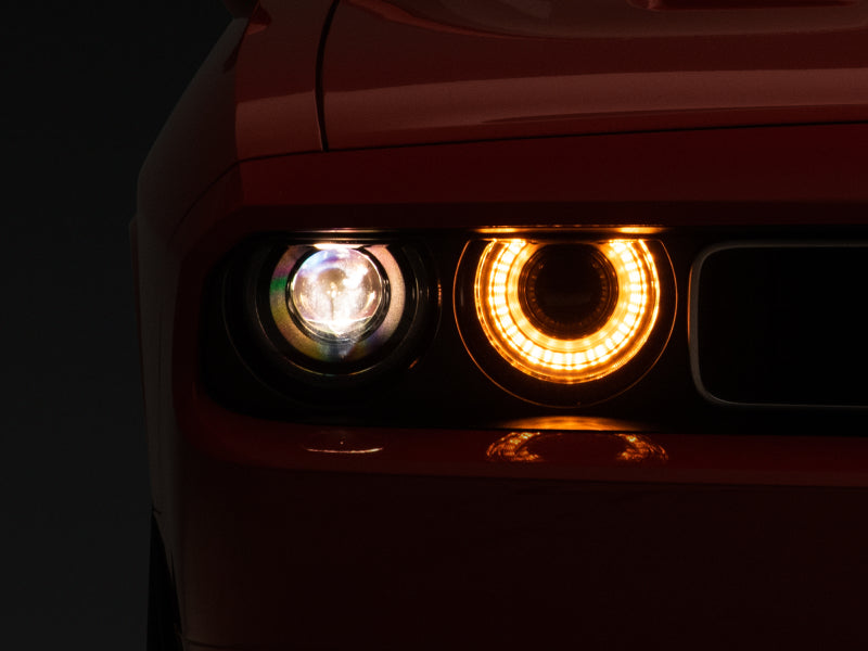 Photo - Close Up
