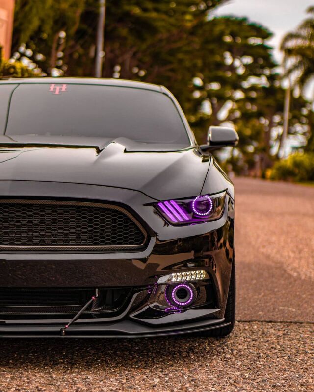 Photo - lifestyle view