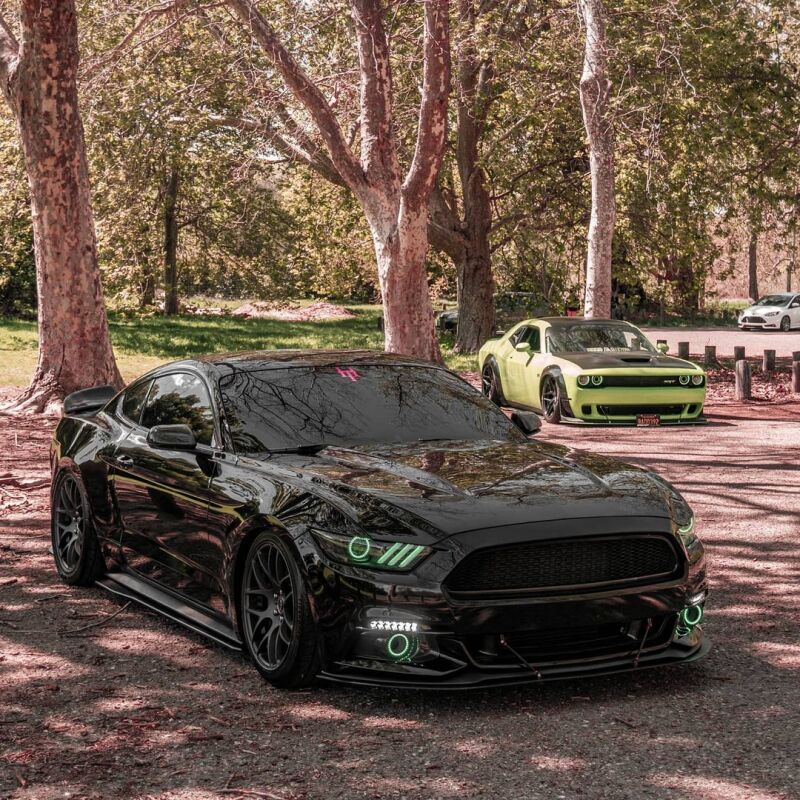 Photo - lifestyle view