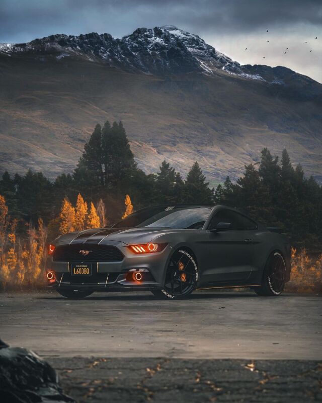 Photo - lifestyle view