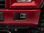 Photo - Close Up