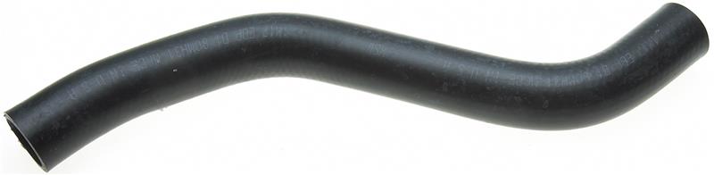Photo - Primary