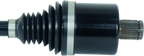 User 3
