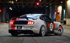 Photo - Mounted