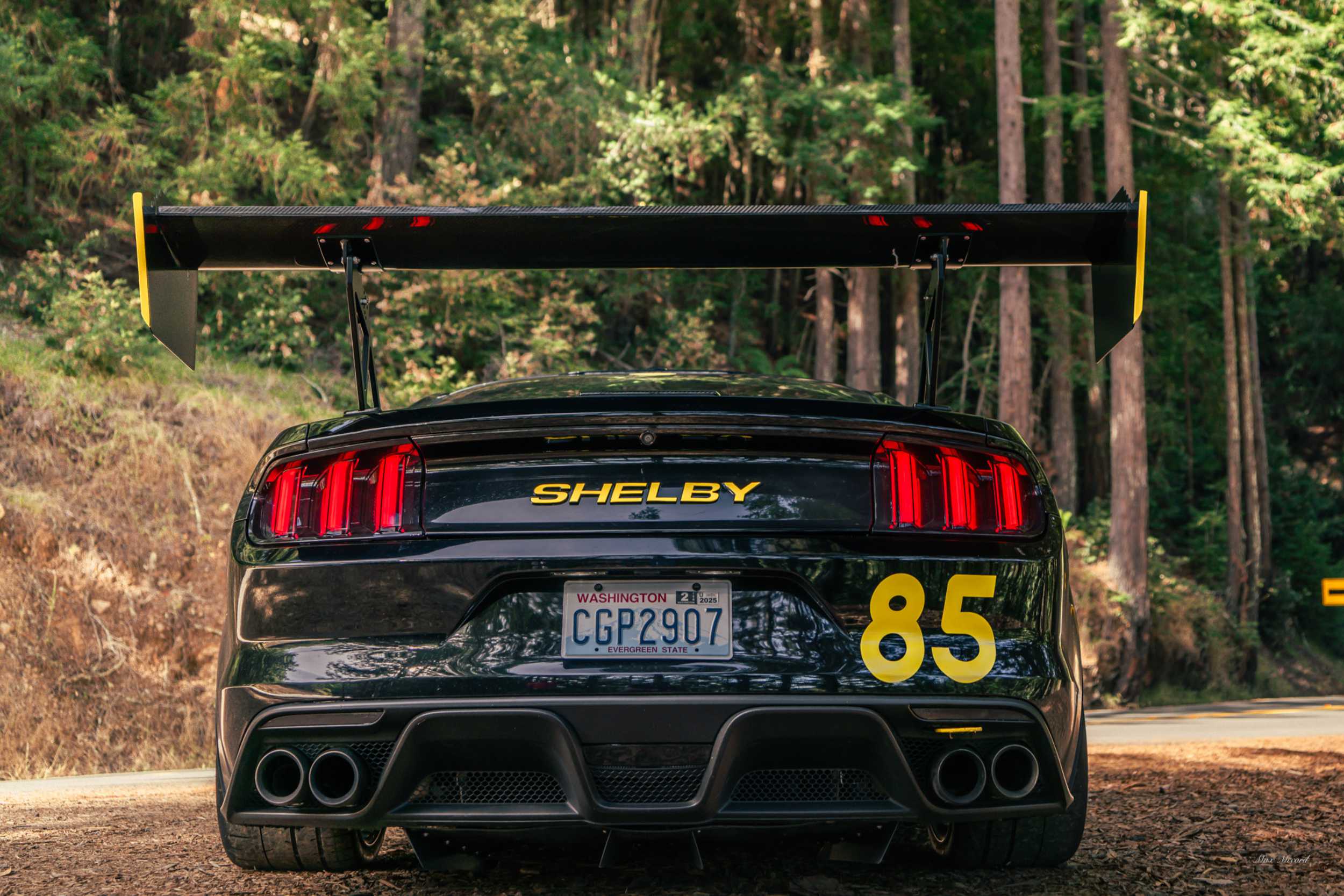 Morimoto XB LED Tail Lights: Ford Mustang (15-23 / Set)