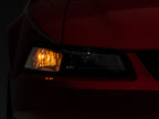 Photo - Close Up