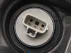 Photo - Close Up