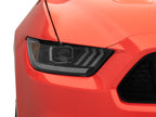 Photo - Close Up