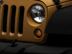 Photo - Close Up