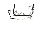Photo - Unmounted