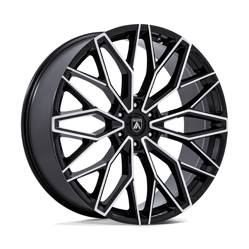 ASANTI MOGUL 6